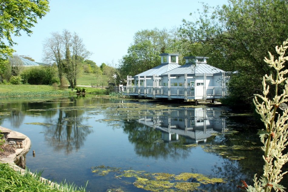 construction on the pond