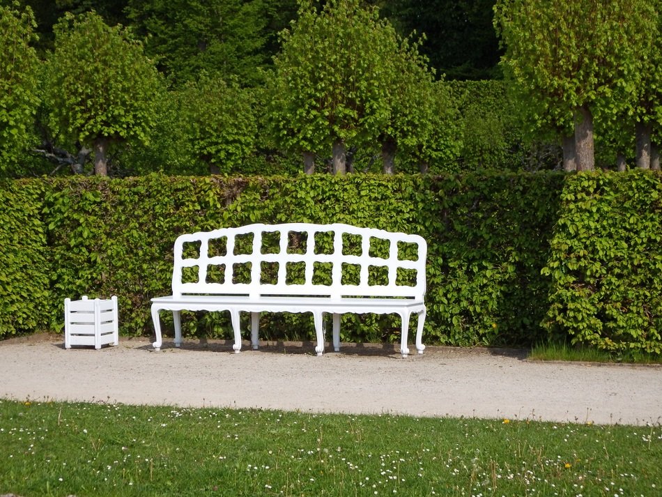 splendiferous wooden bench