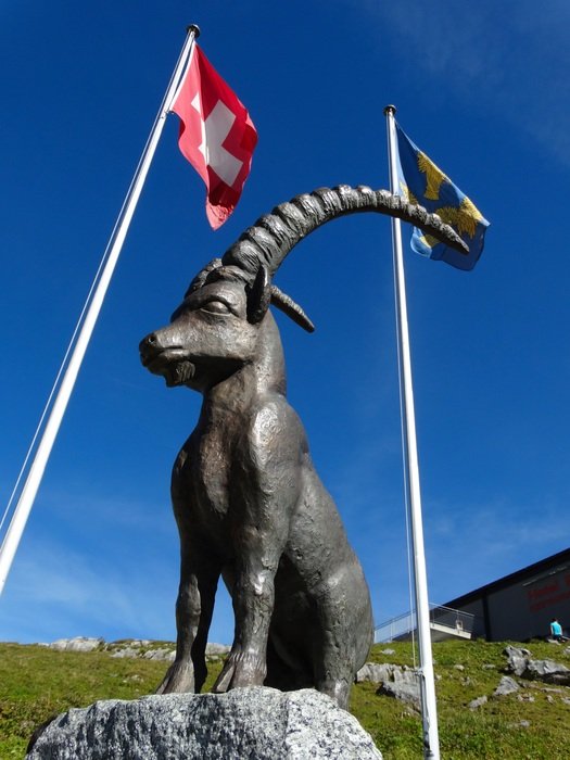 statue of ibex near alpine lake