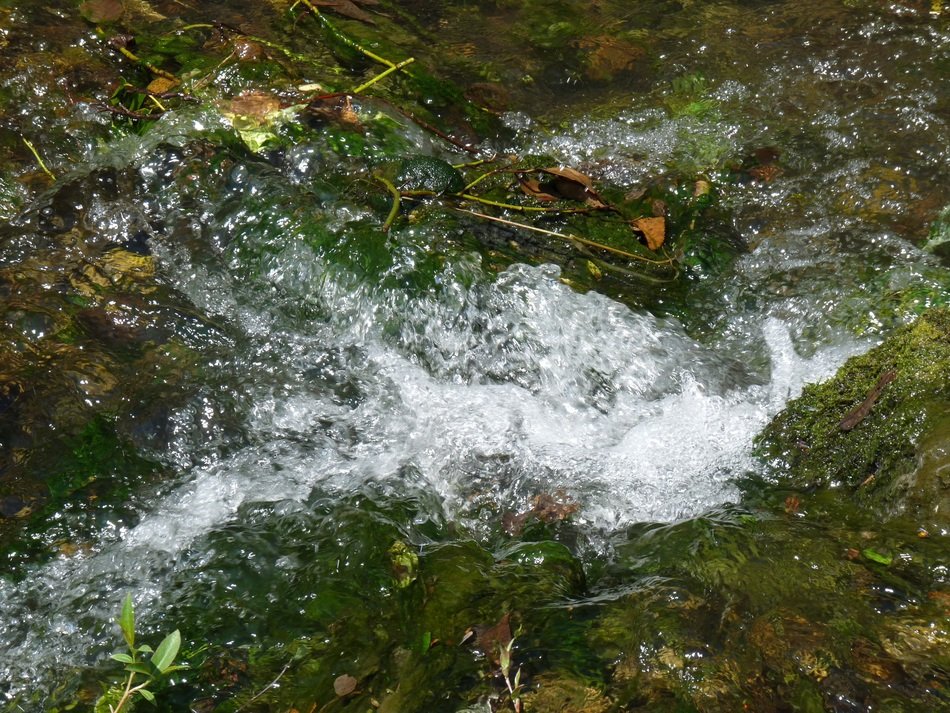 water splashes in the river