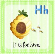 Flashcard letter H hive