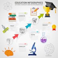 education infographics N15