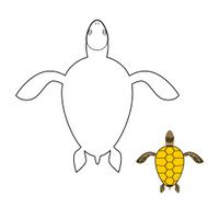 Turtle coloring book Marine reptiles Vector illustration N2