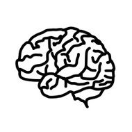 Brain icon isolated on white background