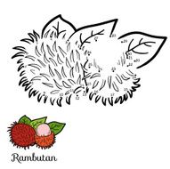 Numbers vector game fruits and vegetables (rambutan) N2
