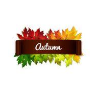 Autumn vector card text on realistic ribbon colorful autumn leaves