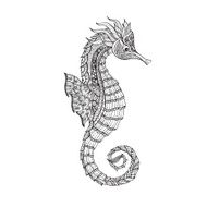 Doodle sketch seahorse black line N2