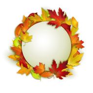 Vector card with colorful autumn leaves and white banner N2