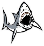 shark with opened mouth