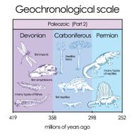 Geochronological scale Part 3 - Paleozoic Eon N2
