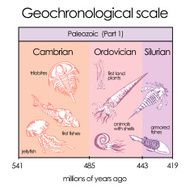Geochronological scale Part 3 - Paleozoic Eon N3