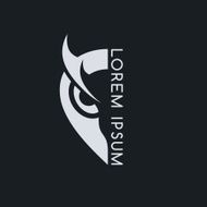 owl N48