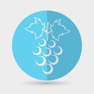 Grapes icon on a blue background