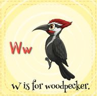 Woodpecker N2