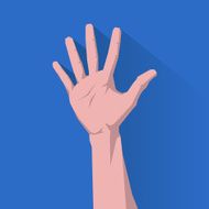 Palm (hand picked)