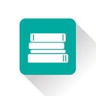 Vector flat icon N2