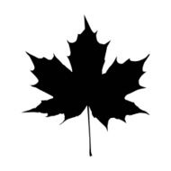 black maple leaf vector N2