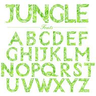 English font in Jungle style swirl