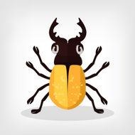 Vector beetle flat illustration N3
