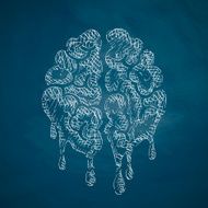 Brain Icon N28