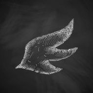 wing icon N4