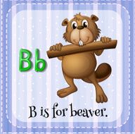 Beaver N4