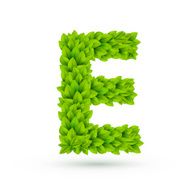 3d green leaves alphabet E