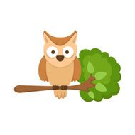 owl sitting on tree branch