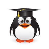 Penguin with graduation cap N2