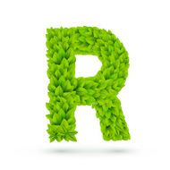 3d green leaves alphabet R