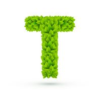 3d green leaves alphabet T