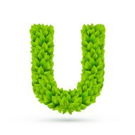3d green leaves alphabet U