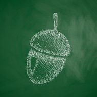 Acorn Icon N6