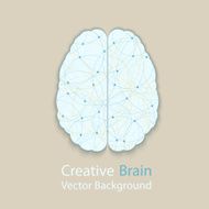 Human Brain N27