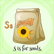 letter s N79