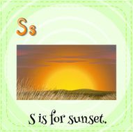 letter s N81