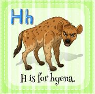Letter H N33