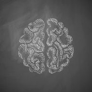 Brain Icon N31