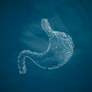 stomach icon N12