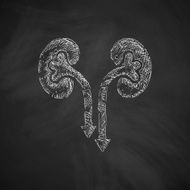 kidneys icon N10