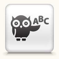 Square Button with ABC Owl