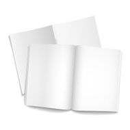 blank open books N3