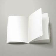 blank open book template N4
