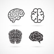 Brain - set of vector illustrations and icons