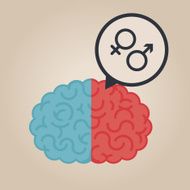 Left and right human brain vector illustration N3