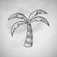 palm icon N7
