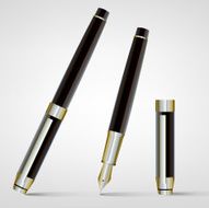 Fountain Pen N11