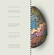 Concept of human brain