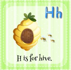 Flashcard letter H hive