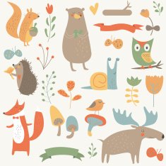orangesetnewsnail N2